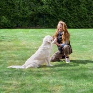 Grunnleggende kurs i hundetrening